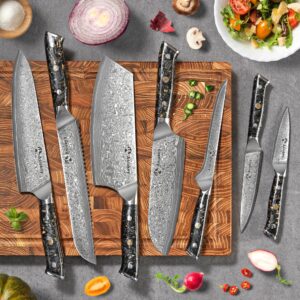 67-lagiges Damastmesser-Set mit Harzgriffen