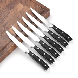 Gezahntes Steakmesser-Set 6-teilig aus Edelstahl